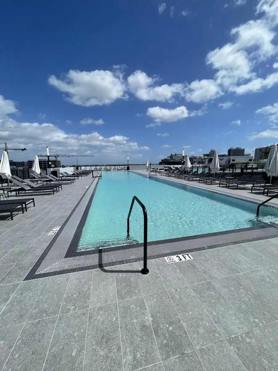 Rooftop pool with loungers